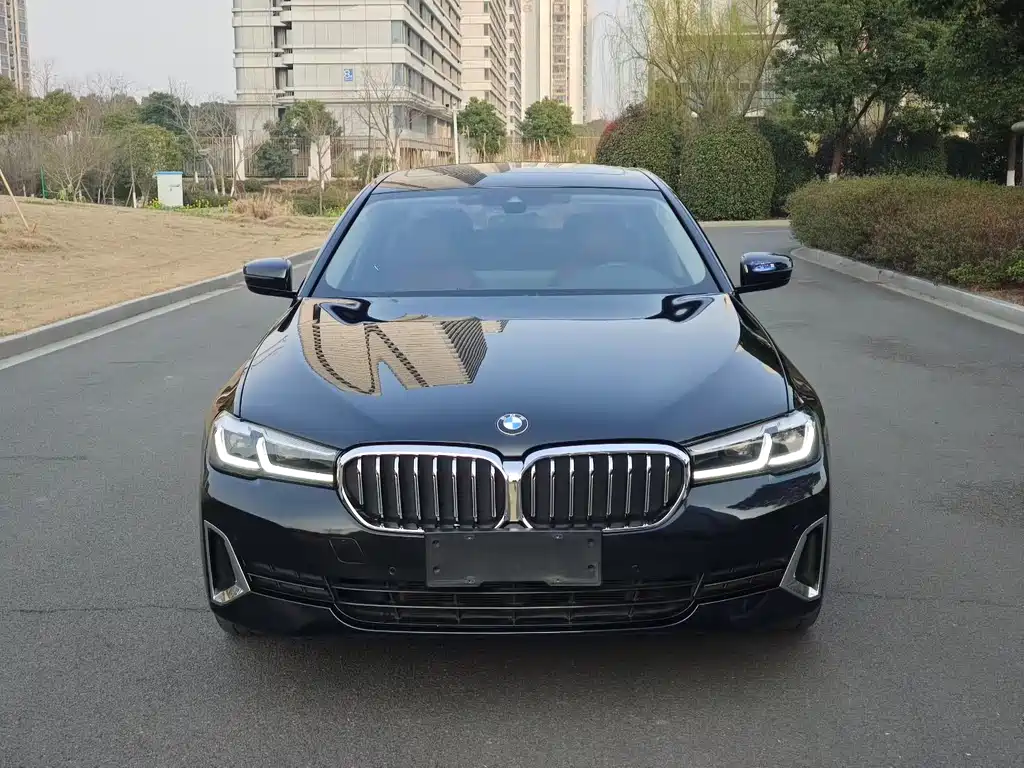BMW 5 Series 2021 530Li Leading Luxury Package купить на сайте DeffCars