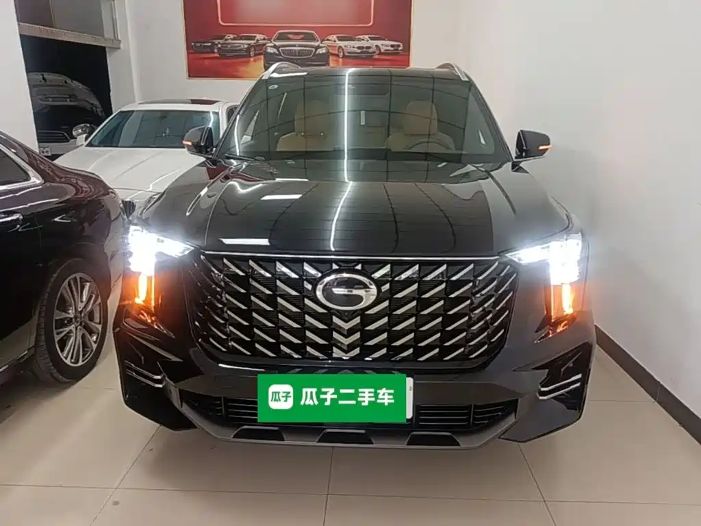 Trumpchi GS8 2025款 领航系列 2.0TGDI 两驱豪华版 5座 купить на сайте DeffCars