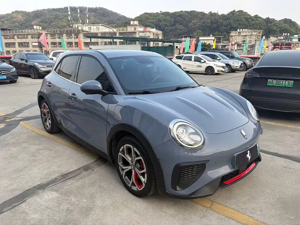 Euler Good Cat GT 2023 Mulan Edition 401km Luxury Model купить на сайте DeffCars