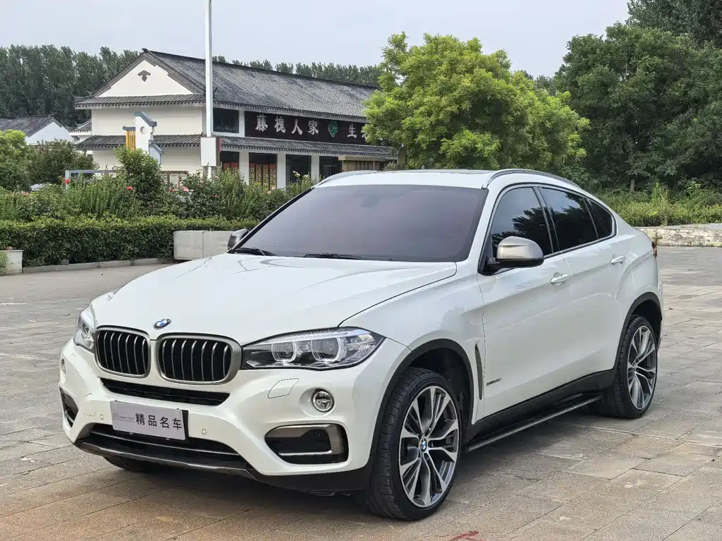 BMW X6 2017 xDrive35i leading model купить на сайте DeffCars