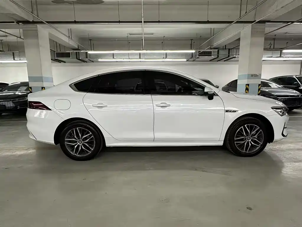 Qin PLUS 2021 EV 500KM luxury model купить на сайте DeffCars