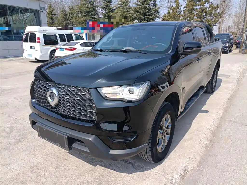 Cannon 2021 2.0T commercial version manual diesel two-wheel drive elite long box GW4D20M купить на сайте DeffCars