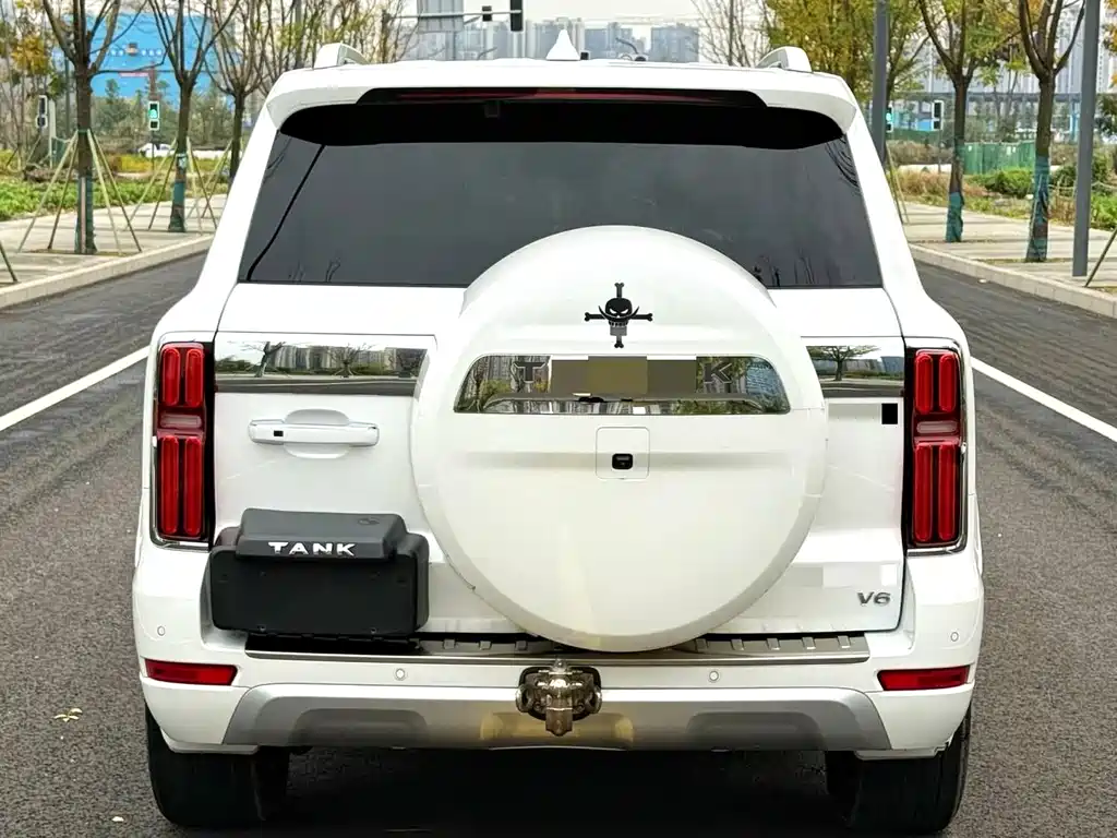 Tank 500 2022 model 3.0T sports version, environment type, 5 seats купить на сайте DeffCars