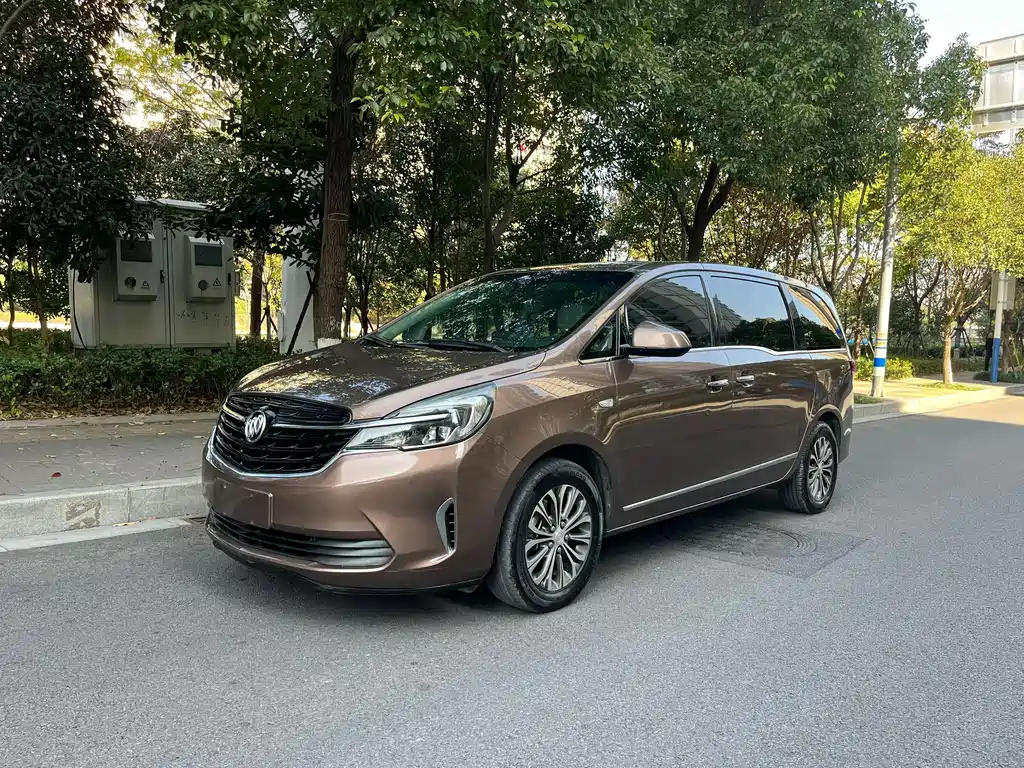 Buick GL8 2021 Land Business Class 652T Luxury купить на сайте DeffCars