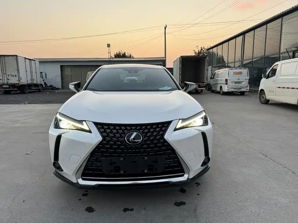 Lexus UX New Energy 2020 300e Pure Edition купить на сайте DeffCars