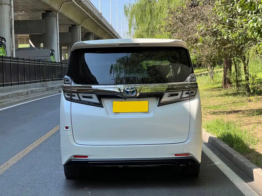 Wilfa 2019 Shuangqing 2.5L HV Deluxe Edition купить на сайте DeffCars