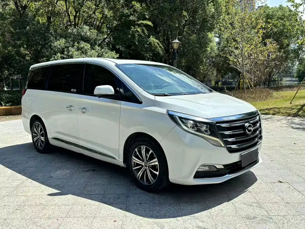 Trumpchi M8 2018 320T Ultimate Edition купить на сайте DeffCars