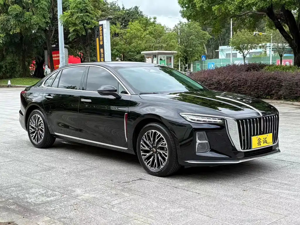 Red Flag Hongqi H5 2024 2.0T Automatic Zhilian купить на сайте DeffCars