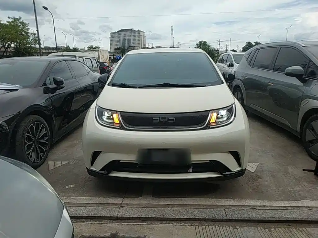 Dolphin 2025款 420km 活力版 купить на сайте DeffCars