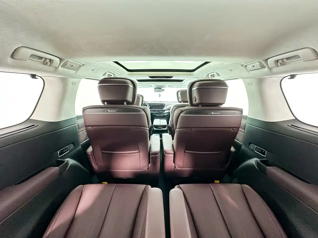 Century 2023 2.0T Six-seater Yuanshi Edition купить на сайте DeffCars