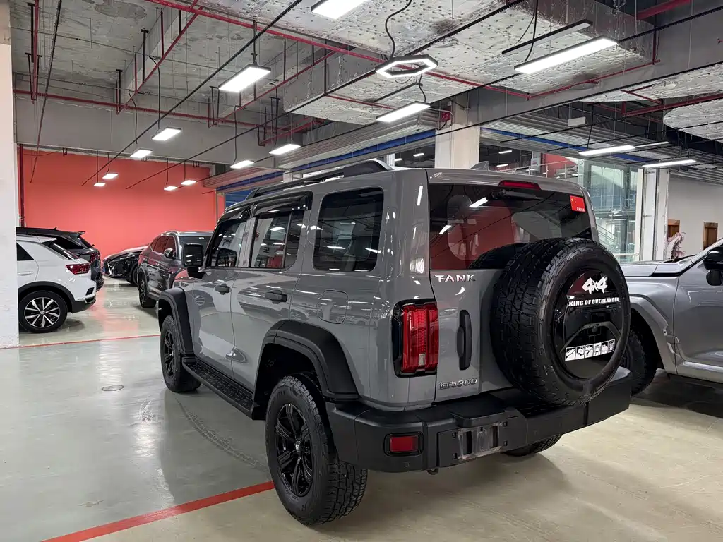 Tank 300 2021 Off-Road Version 2.0T Conqueror купить на сайте DeffCars