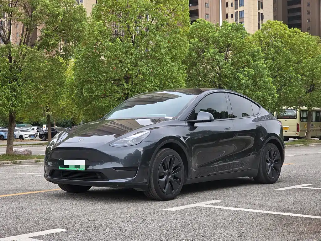 Model Y 2024 rear-wheel drive купить на сайте DeffCars
