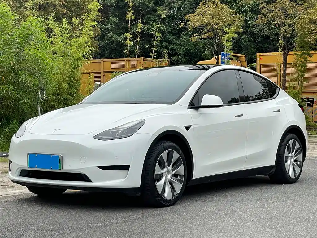Model Y 2022 rear-wheel drive version купить на сайте DeffCars