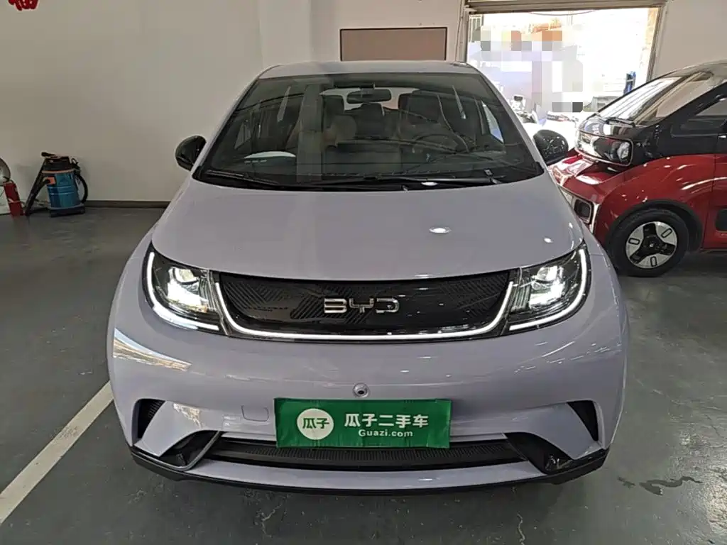 Dolphin 2024 Honor Edition 420km Free купить на сайте DeffCars