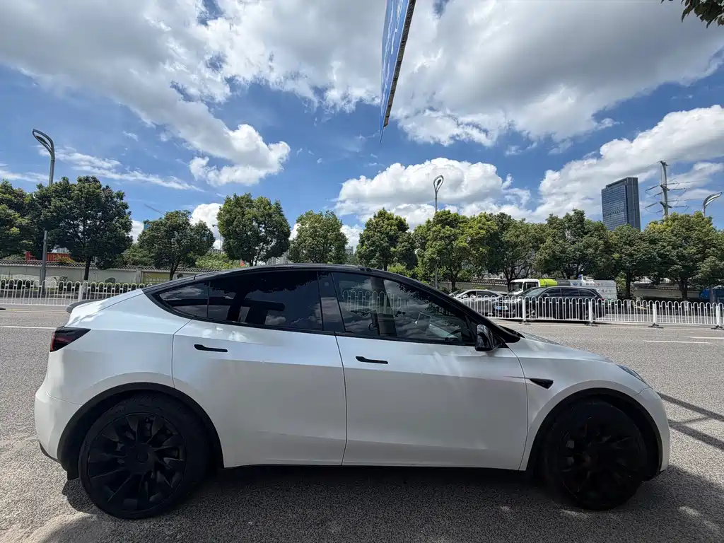 Model Y 2021 standard range rear-wheel drive version купить на сайте DeffCars