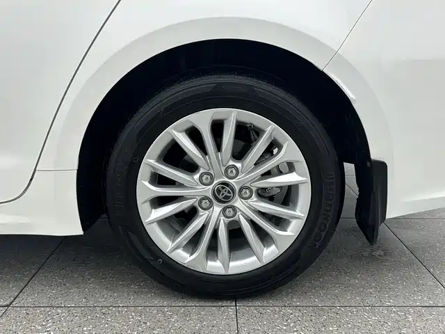 Asia Lion 2021 2.0L Advanced Edition купить на сайте DeffCars