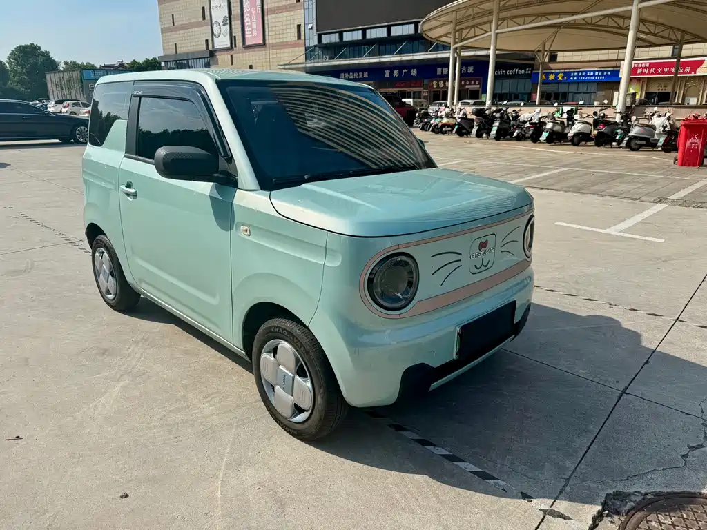 Panda 2023 Panda mini 200km endurance bear купить на сайте DeffCars