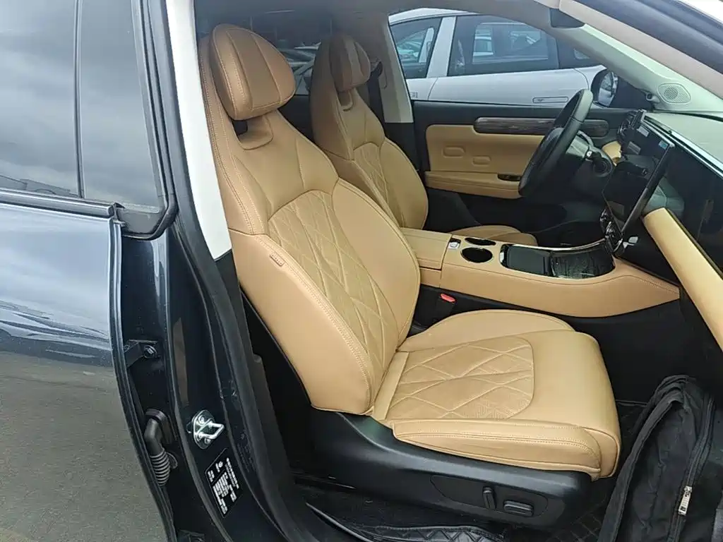 Leapmoon C11 2024 Extended Range 300 Exclusive Edition купить на сайте DeffCars