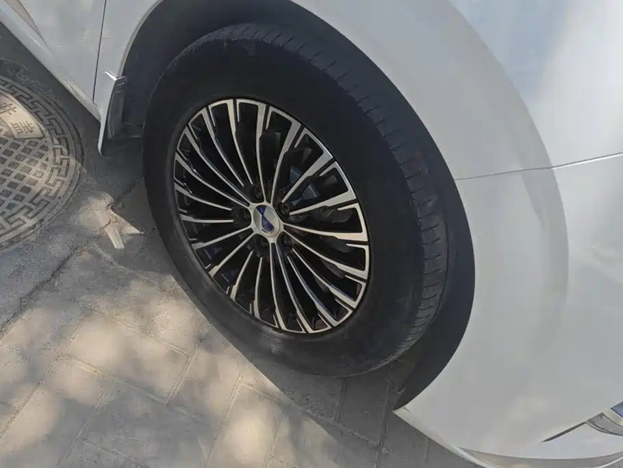 Denza D9 2022 DM-i 1040 Premium Type купить на сайте DeffCars