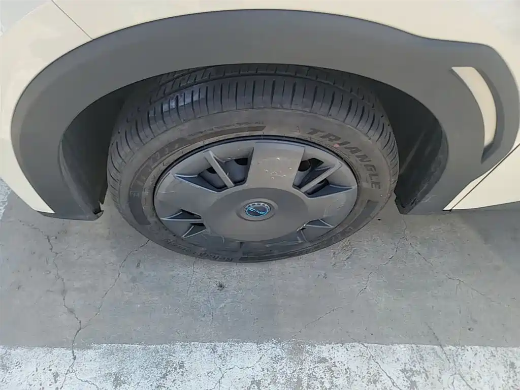 Seagull 2025 305km active version купить на сайте DeffCars