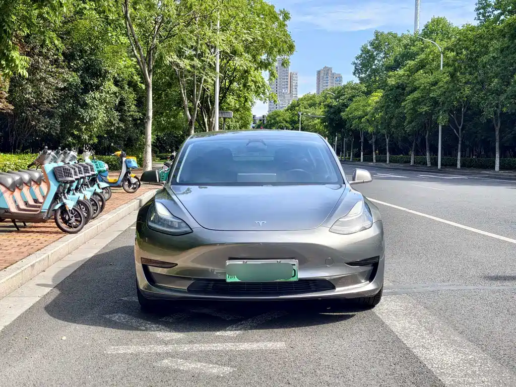 Model 3 2020 Standard Range Rear Drive Upgraded Version купить на сайте DeffCars