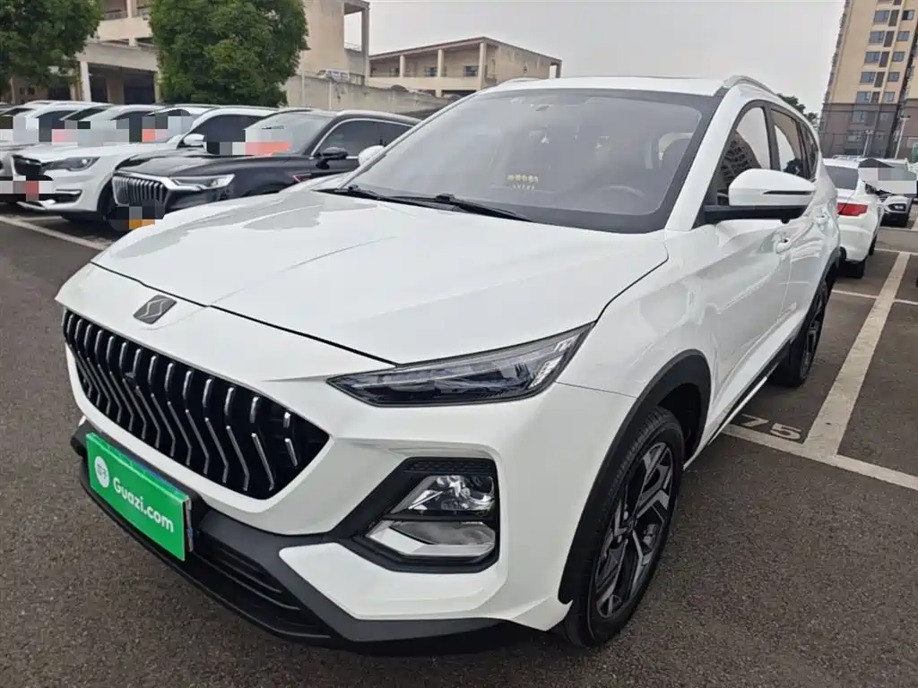 Sihao X8 2021 model 300T DCT luxury intelligent version 7 seats купить на сайте DeffCars