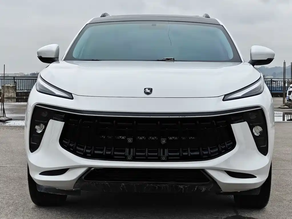 Fengxing T5 EVO 2021 1.5TD DCT Platinum Edition купить на сайте DeffCars