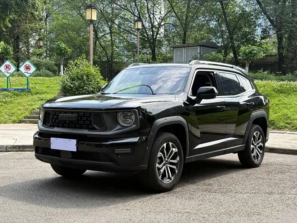 Haval Big Dog PLUS 2023 2.0T two-wheel drive wild version Plus купить на сайте DeffCars