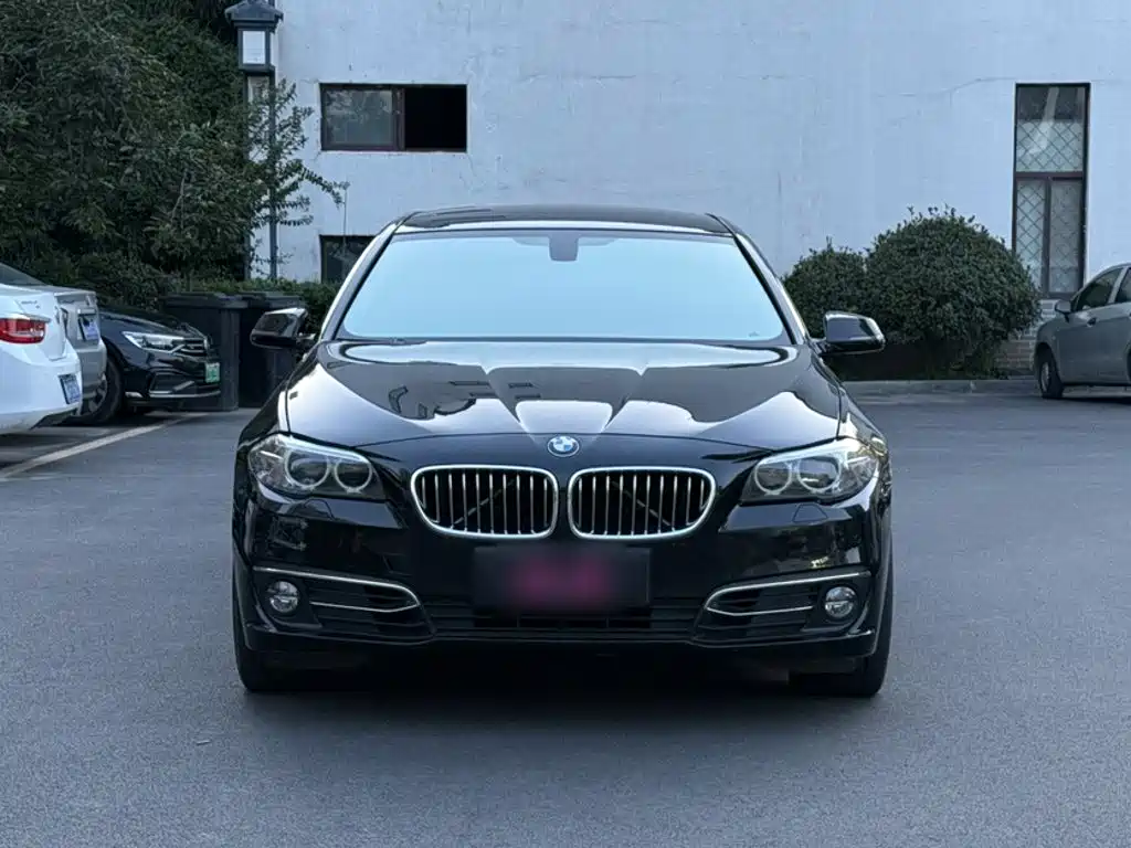 BMW 5 Series 2014 525Li Luxury Design Set купить на сайте DeffCars