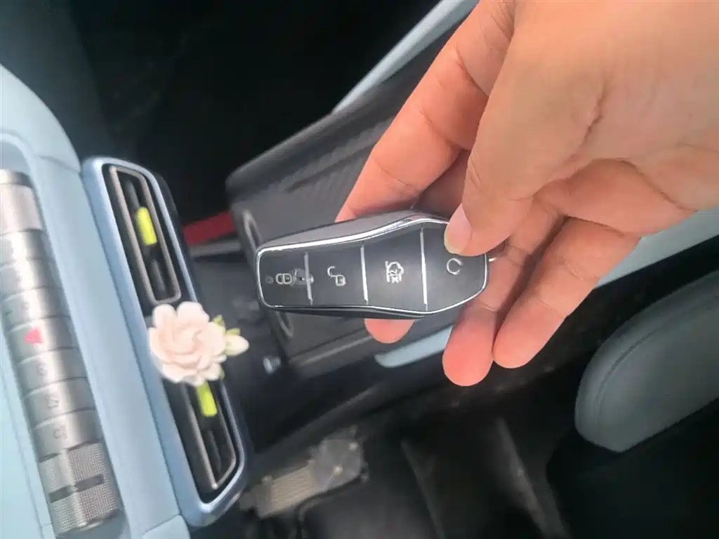 Seagull 2024 Honor Edition 305km Free Edition купить на сайте DeffCars