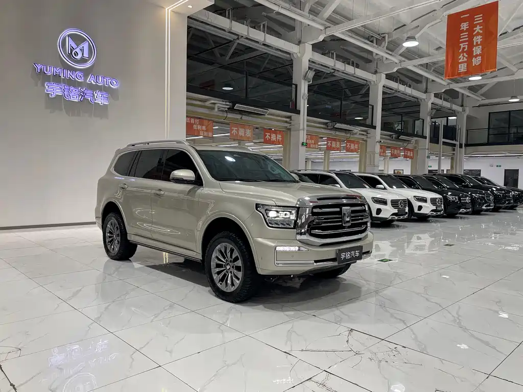 Tank 500 2022 model 3.0T sports version, environment-creating type, 5 seats купить на сайте DeffCars