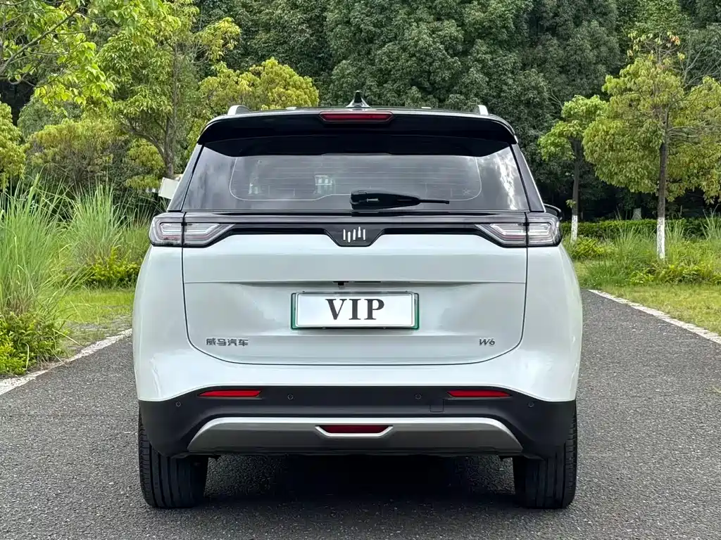 WM W6 2021 520km PRO all-round version купить на сайте DeffCars