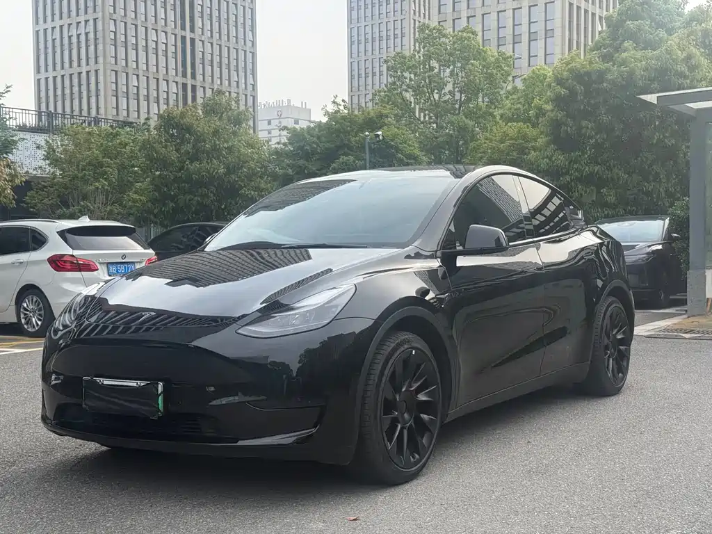 Model Y 2021 standard range rear-wheel drive version купить на сайте DeffCars