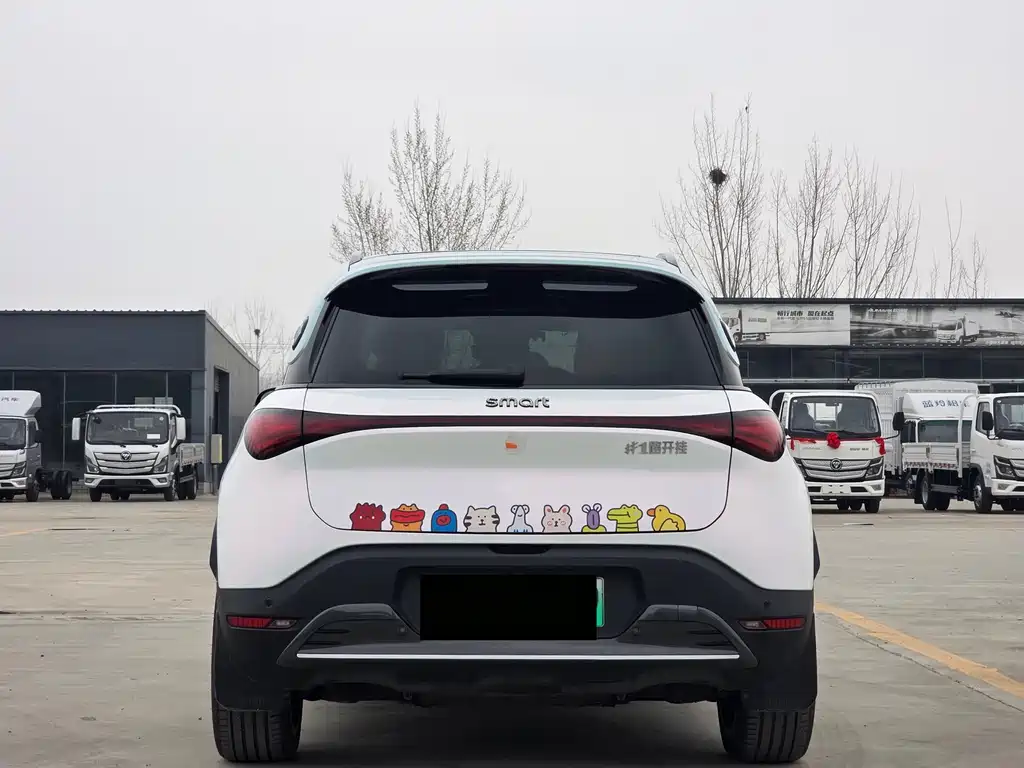 smart elf #1 2022 BRABUS performance version купить на сайте DeffCars