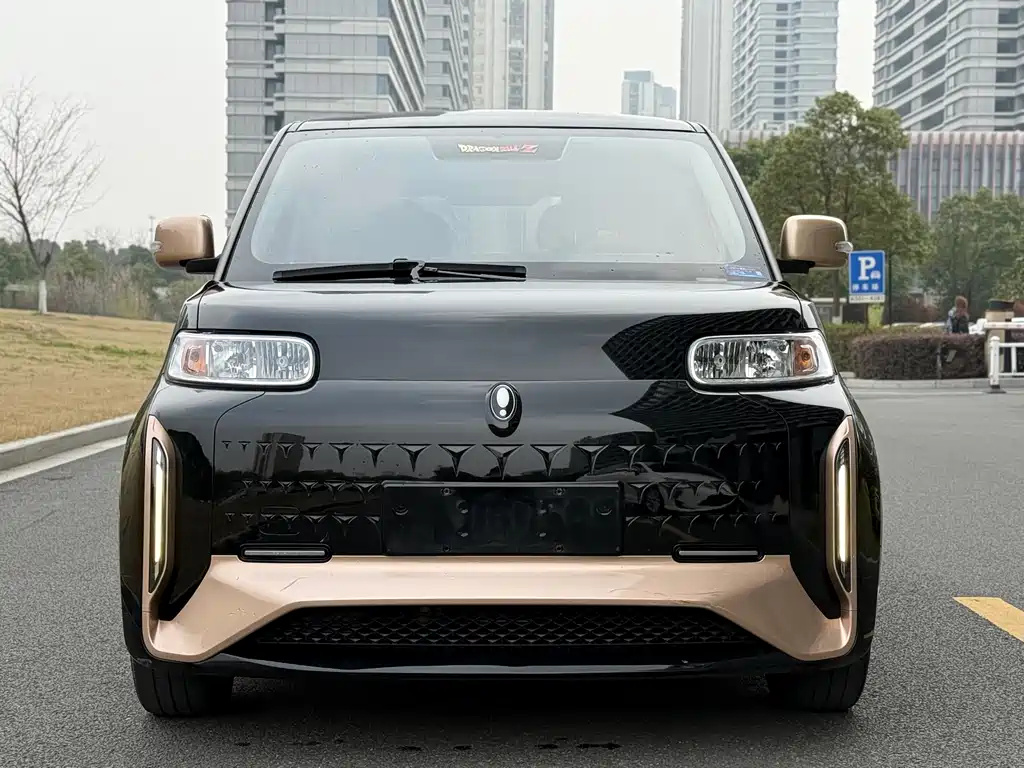 Euler White Cat 2022 Little Wildcat Edition 360km Luxury Model Three Yuan Lithium купить на сайте DeffCars