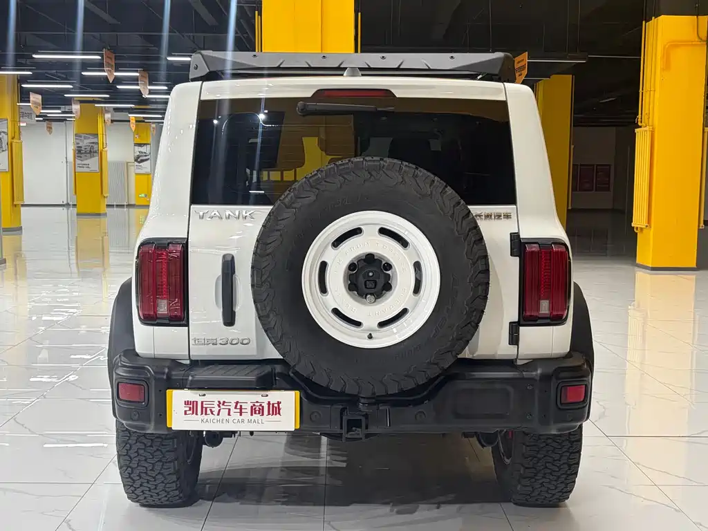 Tank 300 2023 2.0T Iron Cavalry 02 купить на сайте DeffCars