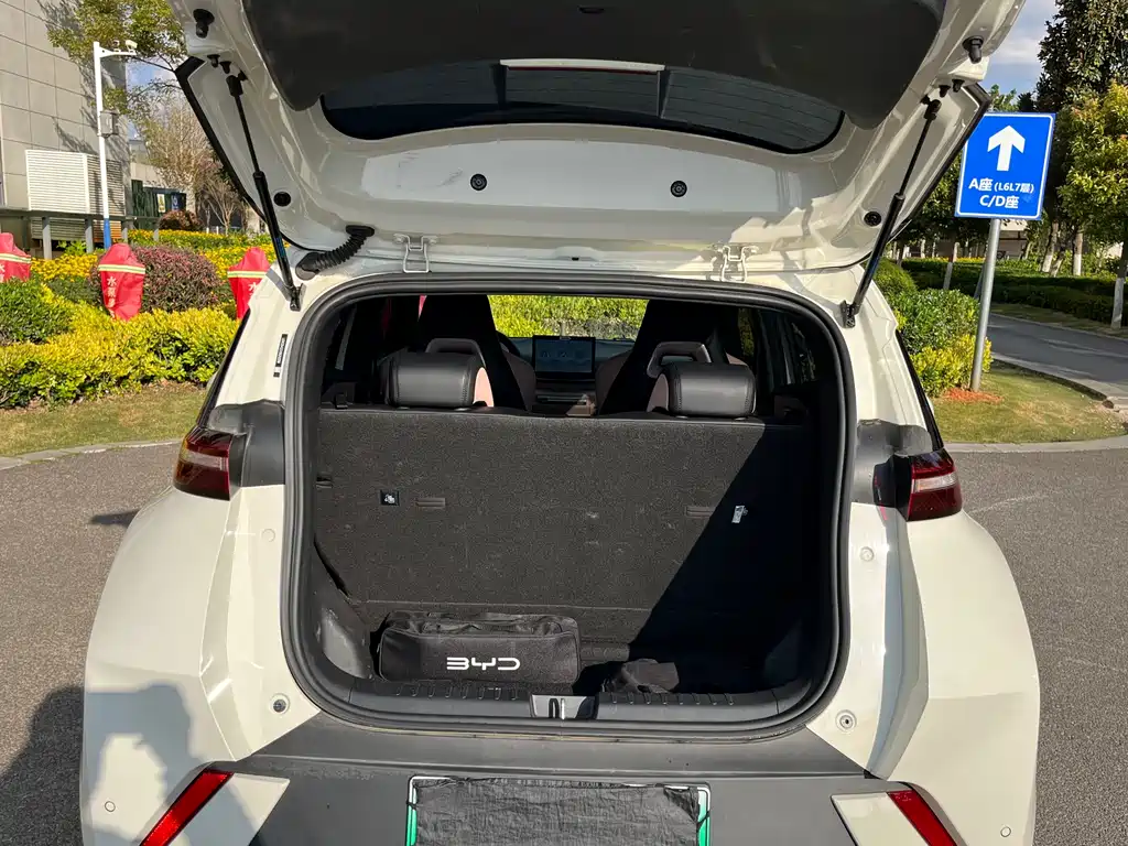 Seagull 2025 model 305km free version купить на сайте DeffCars