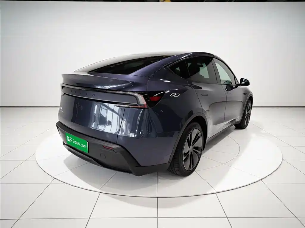 Model Y 2025 rear-wheel drive version купить на сайте DeffCars