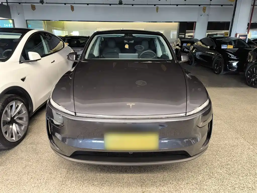 Model Y 2025 rear-wheel drive version купить на сайте DeffCars
