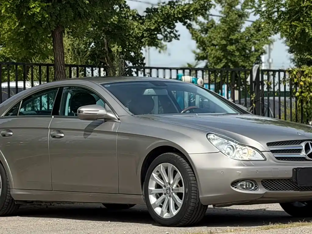 Mercedes-Benz CLS 2009 CLS 300 купить на сайте DeffCars