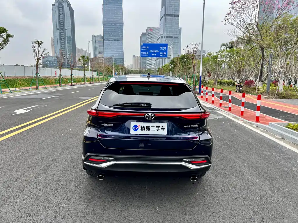 Lingfang HARRIER 2022 2.0L CVT two-wheel drive exclusive version купить на сайте DeffCars