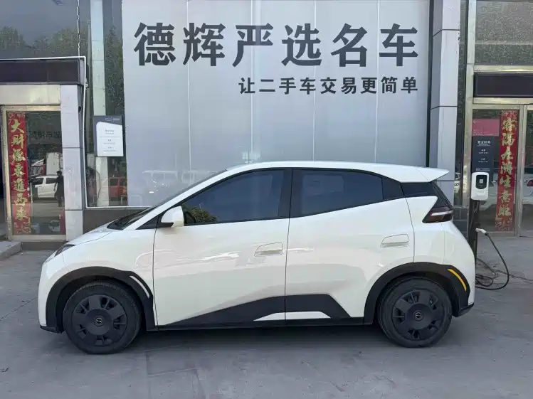 Seagull 2023 Vitality Edition купить на сайте DeffCars