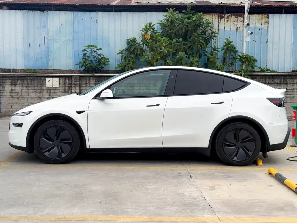 Model Y 2025 rear-wheel drive version купить на сайте DeffCars