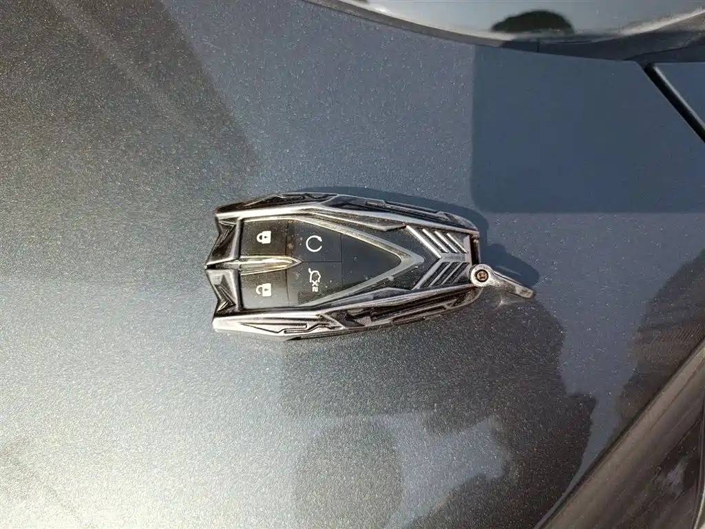 Yida 2023 Blue Whale NE 1.5T GDI DCT pilot model купить на сайте DeffCars