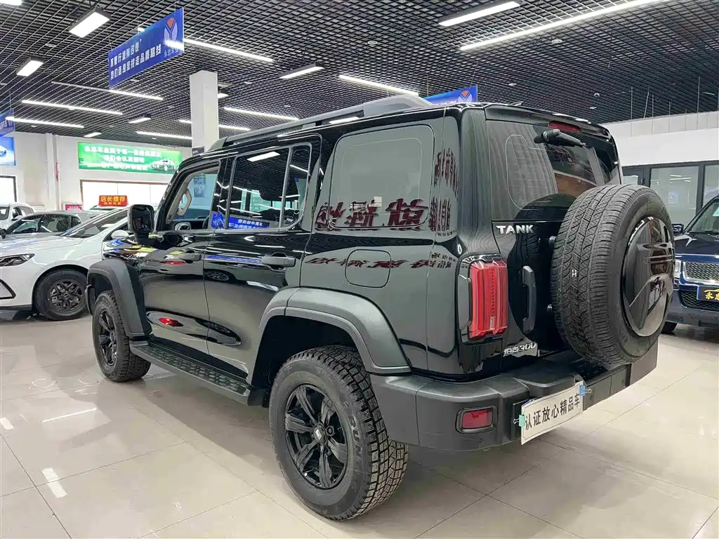 Tank 300 2024 2.0T Conqueror купить на сайте DeffCars