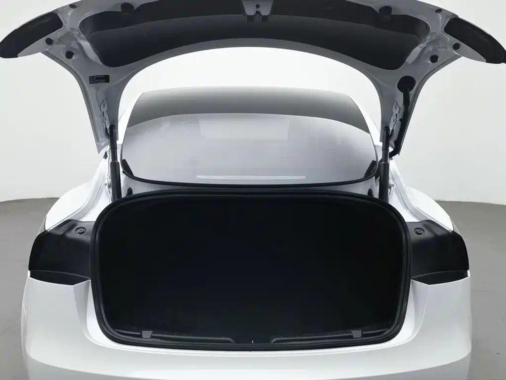 Model 3 2025 facelift rear-wheel drive version купить на сайте DeffCars