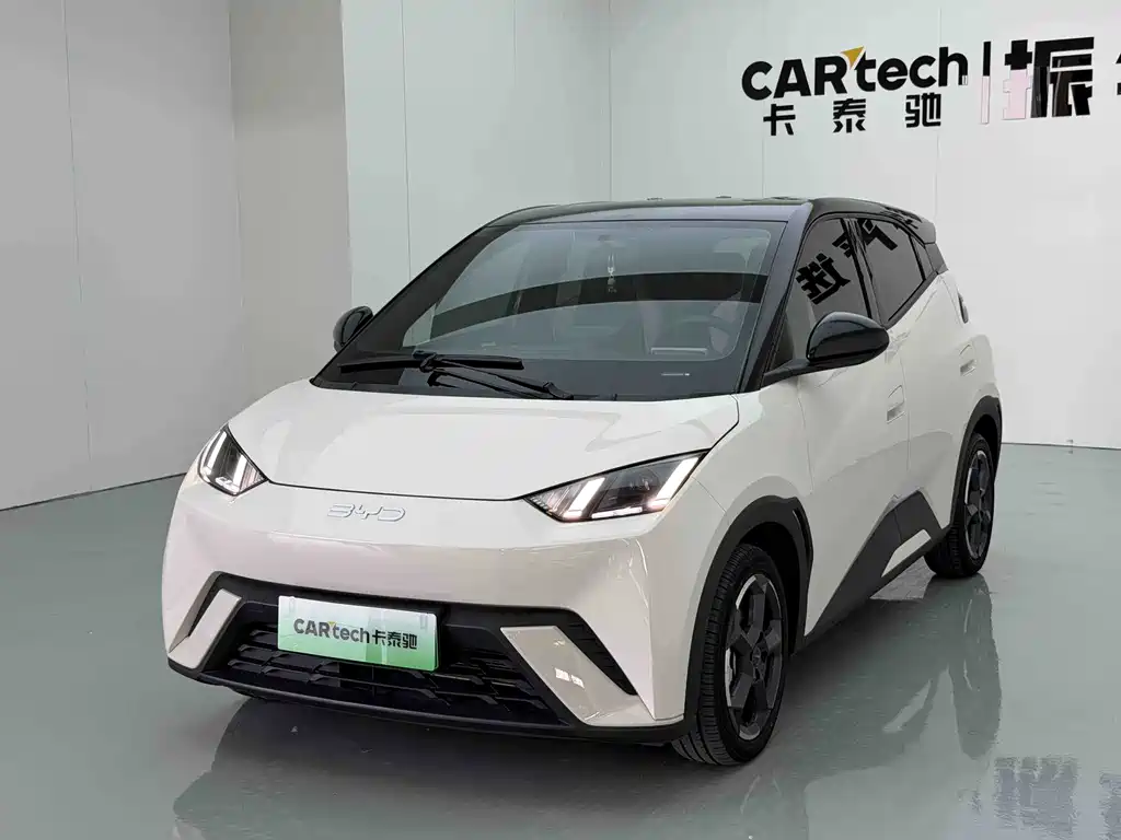 Seagull 2024款 荣耀版 305km 自由版 купить на сайте DeffCars