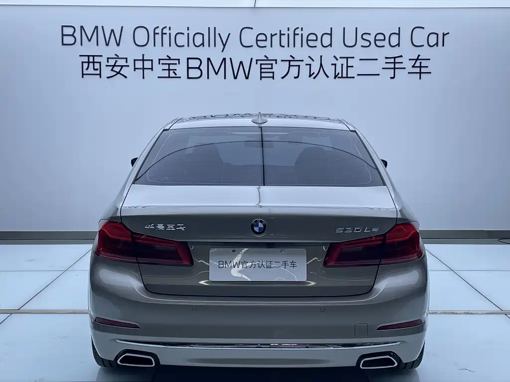 BMW 5 Series New Energy 2020 Mileage Upgraded Version 530Le Luxury Package купить на сайте DeffCars