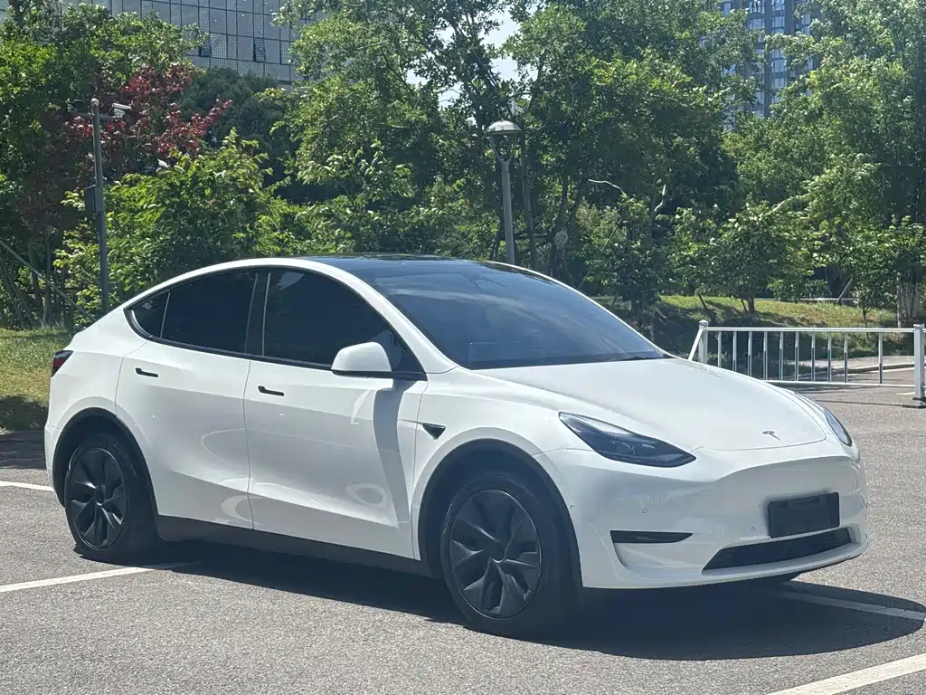 Model Y 2023 rear-wheel drive version купить на сайте DeffCars