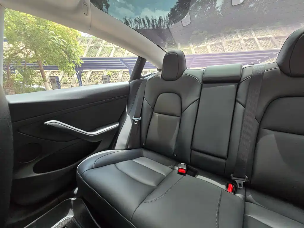 Model 3 2022 rear-wheel drive version купить на сайте DeffCars